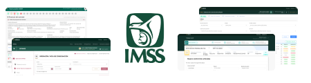 diseño de sistemas del imss